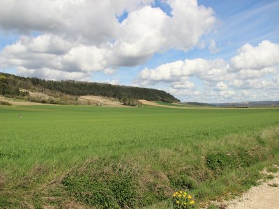 Holiday house Elegantes Familienhaus in Bouix - Environment photo 27