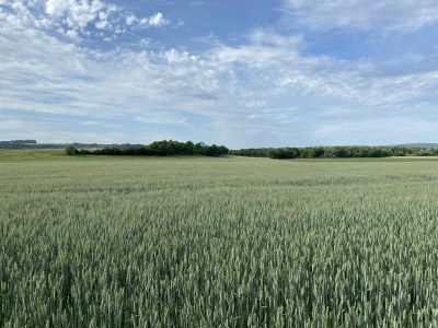 Holiday house Elegantes Familienhaus in Bouix - Environment photo 28
