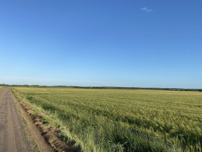 Holiday house Elegantes Familienhaus in Bouix - Environment photo 34