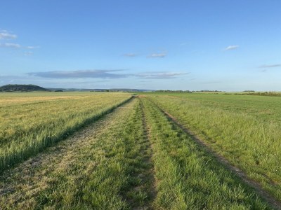 Holiday house Elegantes Familienhaus in Bouix - Environment photo 35