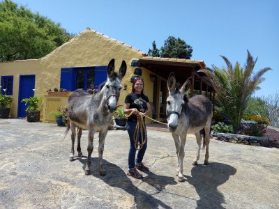 Holiday house Casa Brava - Outdoor photo 3