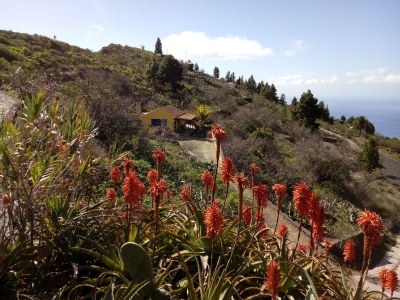 Holiday house Casa Brava - Outdoor photo 6