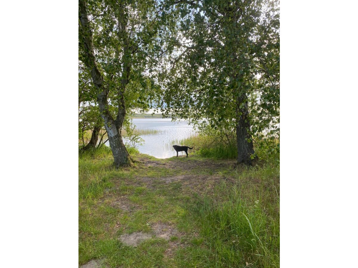 Holiday house The Fischerhaus on lake Malkwitzer See - Outdoor photo 5