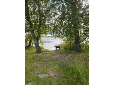 Holiday house The Fischerhaus on lake Malkwitzer See - Outdoor photo 5