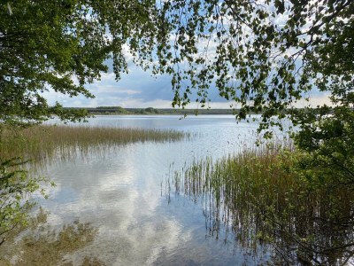 Holiday house The Fischerhaus on lake Malkwitzer See - Outdoor photo 6