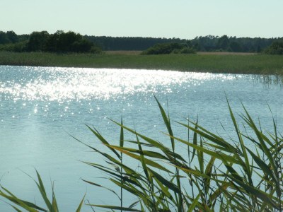 Holiday house The Fischerhaus on lake Malkwitzer See - Outdoor photo 8