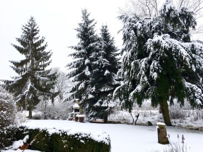 Holiday house The Fischerhaus on lake Malkwitzer See - Environment photo 26