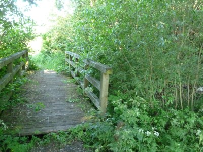 Holiday house The Fischerhaus on lake Malkwitzer See - Environment photo 31