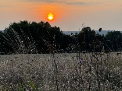 Holiday house The Fischerhaus on lake Malkwitzer See - Environment photo 32