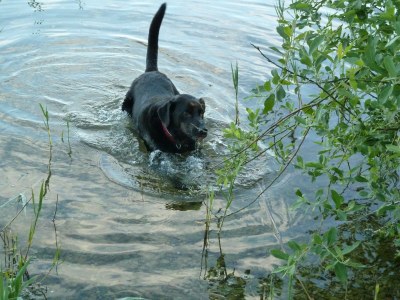 Holiday house The Fischerhaus on lake Malkwitzer See - Document photo 36