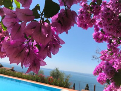 Holiday apartment Ferienwohnung Residenza Torri - fantastic lake view - Features photo 15