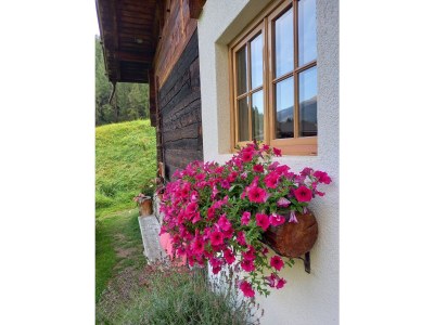 Holiday house Pifrailerhof "Alte MÃ¼hle" - Outdoor photo 6