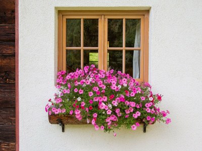 Holiday house Pifrailerhof "Alte MÃ¼hle" - Outdoor photo 7