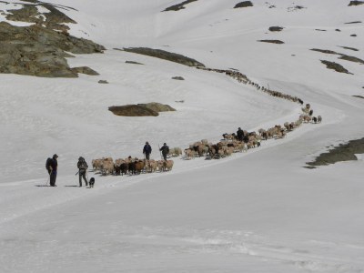 Holiday house Pifrailerhof "Alte MÃ¼hle" - Environment photo 23