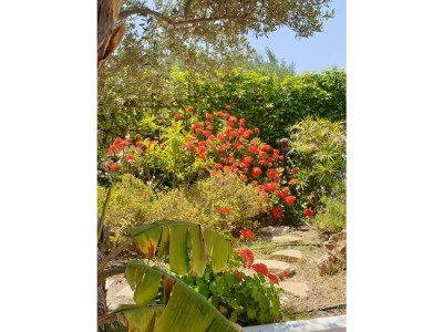 Villa Villa Hera - Outdoor photo 13