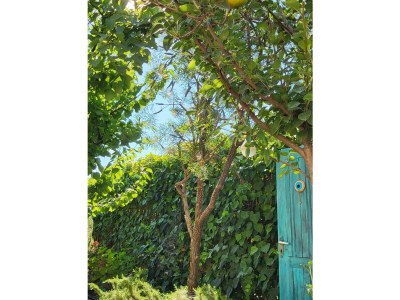 Villa Villa Hera - Outdoor photo 16