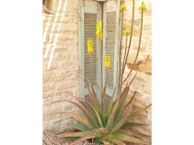 Villa Villa Hera - Outdoor photo 21