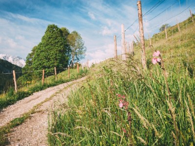 Holiday apartment At the Riesch guest house |large apartment - Environment photo 11