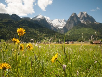 Holiday apartment At the Riesch guest house |large apartment - Environment photo 13