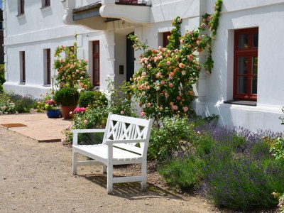 Holiday apartment Gerdshagen Manor - Outdoor photo 7