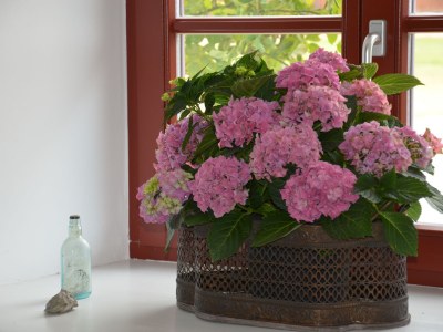 Holiday apartment Gerdshagen Manor - Outdoor photo 8