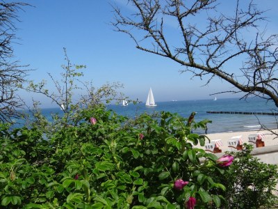 Holiday apartment Gerdshagen Manor - Environment photo 22