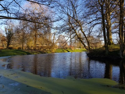 Holiday apartment Gerdshagen Manor - Environment photo 23