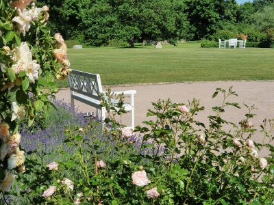 Holiday apartment Gerdshagen Manor - Environment photo 25