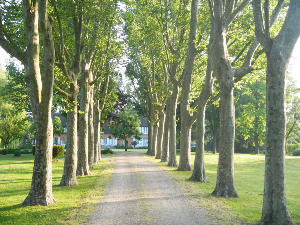 Holiday house La Ferme du Manoir - Outdoor photo 2
