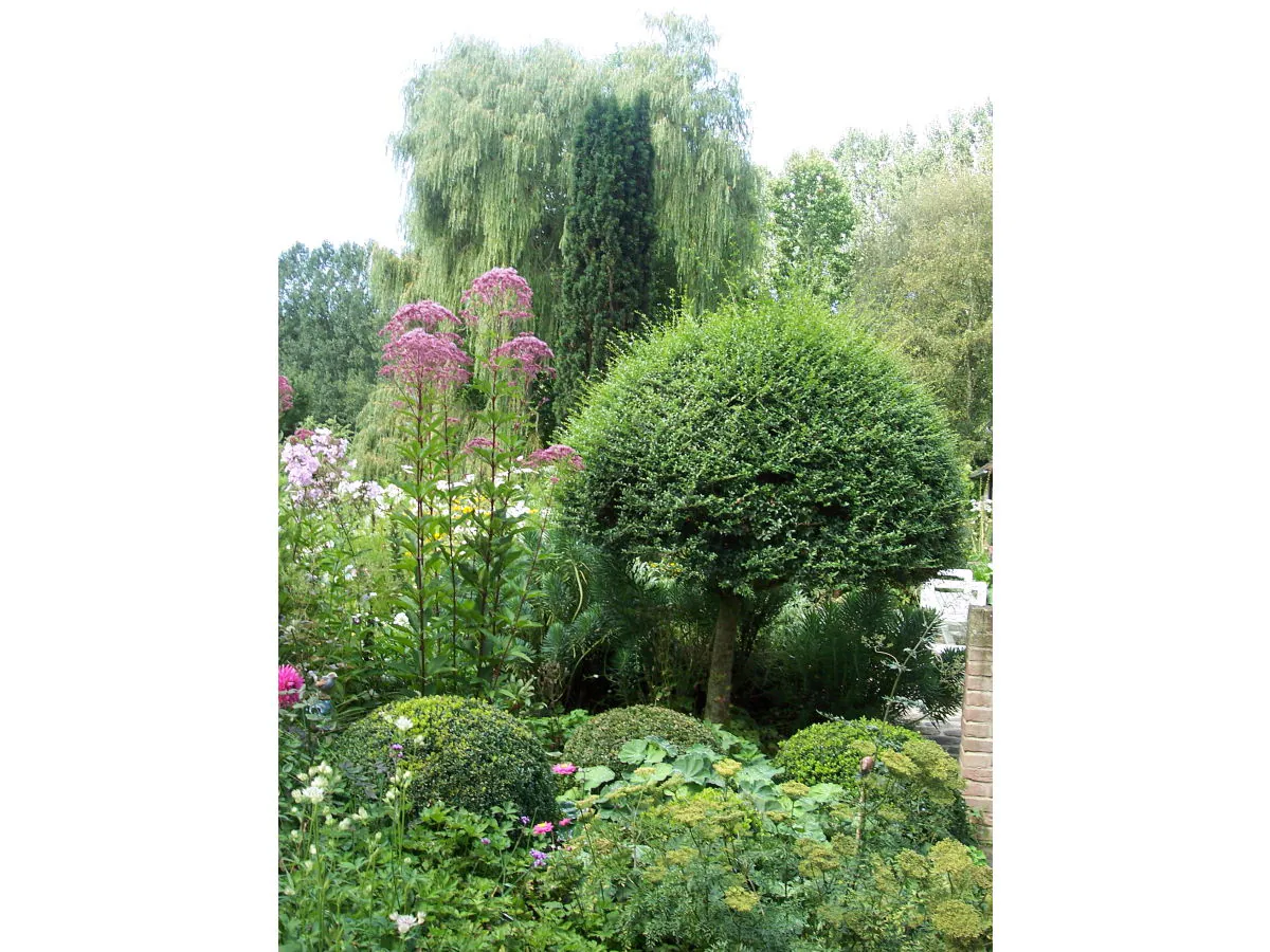 Holiday house La Ferme du Manoir - Outdoor photo 5