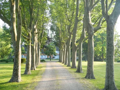 Holiday house La Ferme du Manoir - Outdoor photo 2
