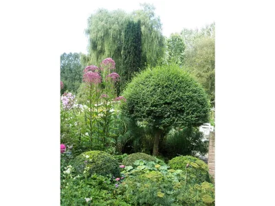 Holiday house La Ferme du Manoir - Outdoor photo 5