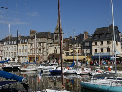 Holiday house La Ferme du Manoir - Environment photo 18