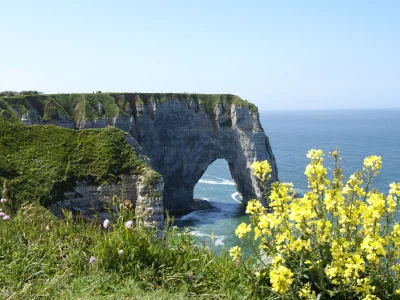 Holiday house La Ferme du Manoir - Environment photo 20