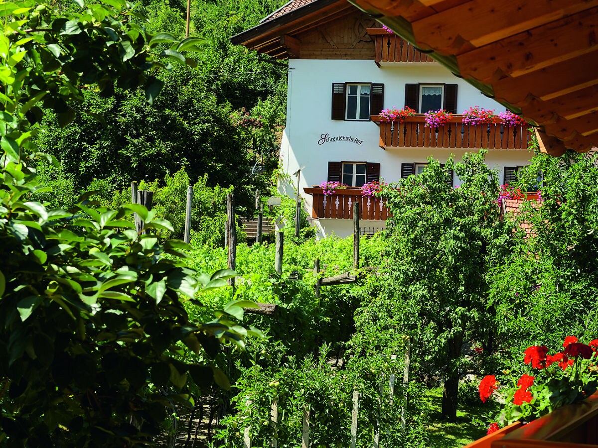 Holiday apartment Schrenteweinhof 1 - Outdoor photo 2