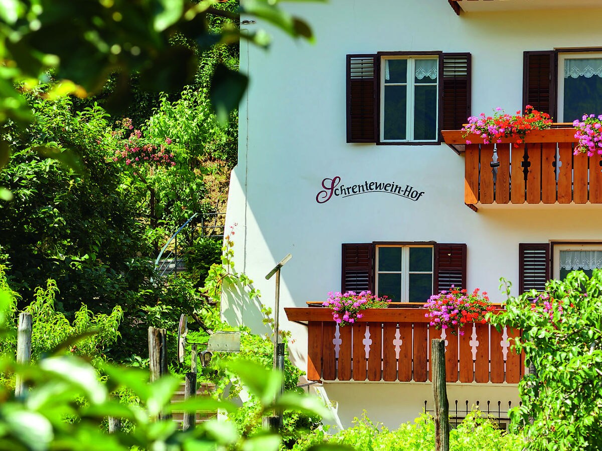 Holiday apartment Schrenteweinhof 1 - Outdoor photo 3