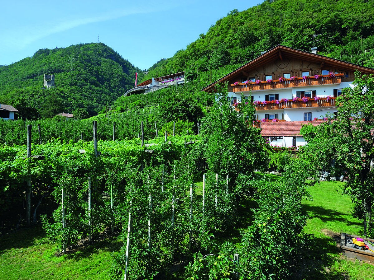 Holiday apartment Schrenteweinhof 1 - Outdoor photo 4