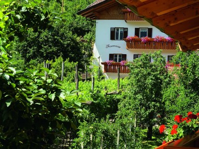 Holiday apartment Schrenteweinhof 1 - Outdoor photo 2