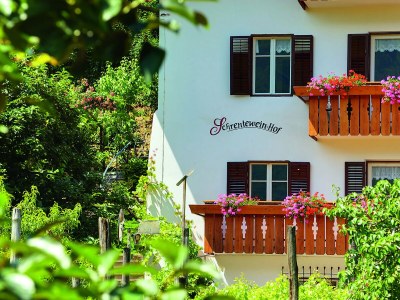 Holiday apartment Schrenteweinhof 1 - Outdoor photo 3