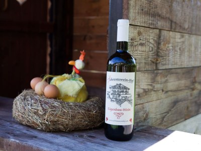 Holiday apartment Schrenteweinhof 1 - Outdoor photo 9