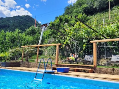 Holiday apartment Schrenteweinhof 1 - Outdoor photo 12