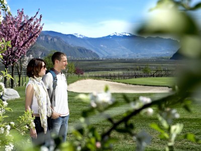 Holiday apartment Schrenteweinhof 1 - Environment photo 24