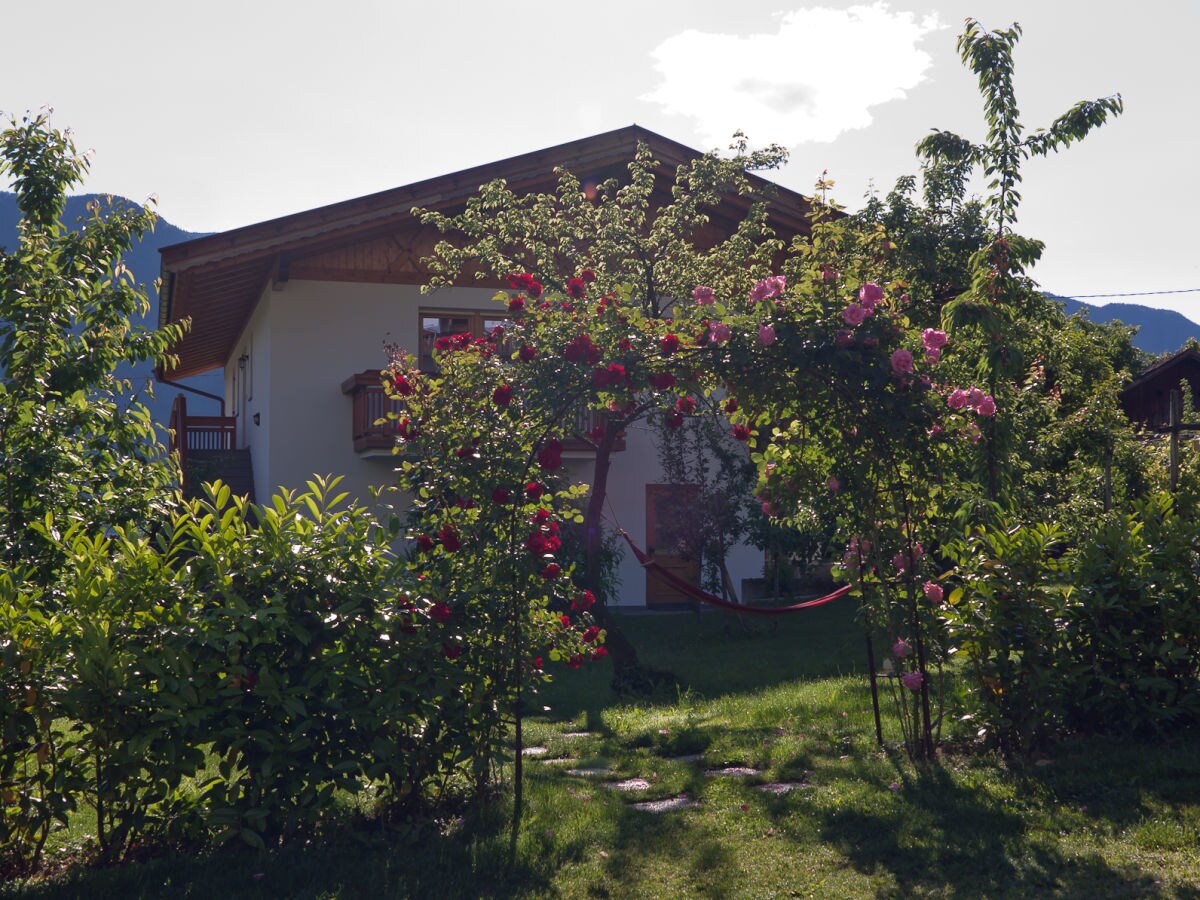 Holiday apartment Schrenteweinhof 2 - Outdoor photo 5