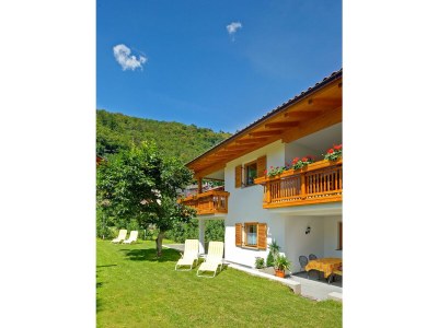 Holiday apartment Schrenteweinhof 2 - Outdoor photo 2