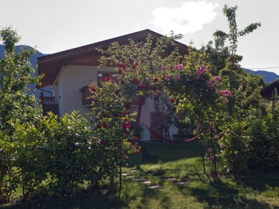 Holiday apartment Schrenteweinhof 2 - Outdoor photo 5