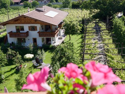 Holiday apartment Schrenteweinhof 3 - Outdoor photo 2