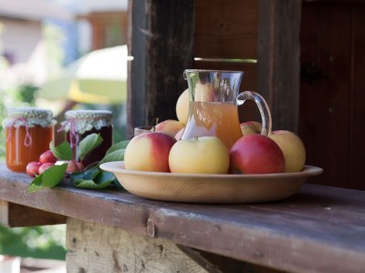 Holiday apartment Schrenteweinhof 3 - Outdoor photo 6