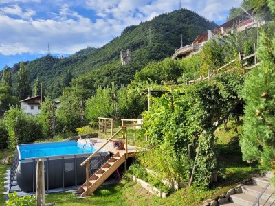 Holiday apartment Schrenteweinhof 3 - Outdoor photo 9