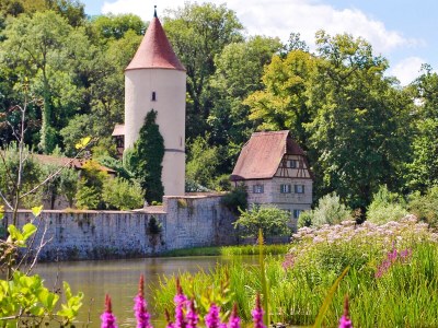 Holiday apartment Metzger - Environment photo 24