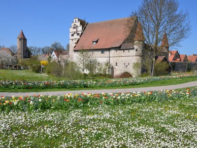 Holiday apartment Metzger - Environment photo 25